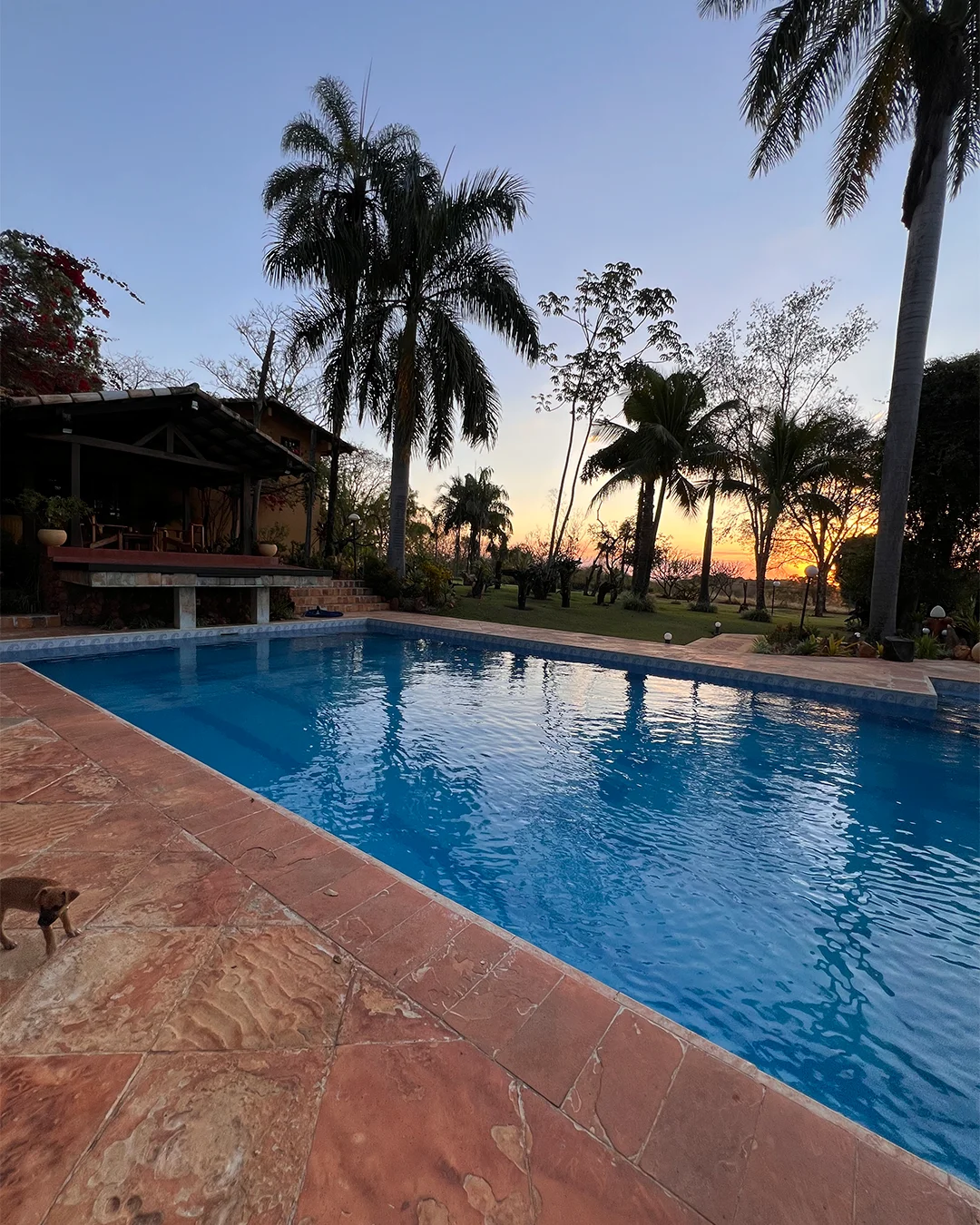 Área externa da Quinta da Boa Vista