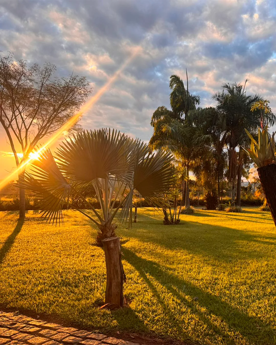 Natureza e estrutura da Quinta da Boa Vista