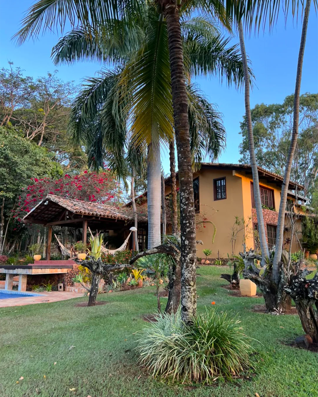 Estrutura da Quinta da Boa Vista